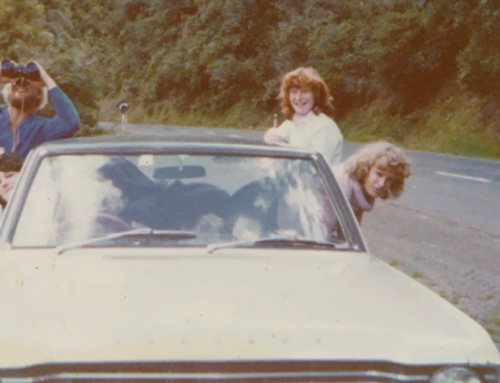 The Waimata Valley UFO Encounters, 1977-80